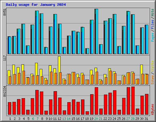 Daily usage for January 2024