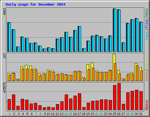 Daily usage for December 2024