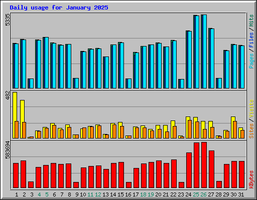 Daily usage for January 2025
