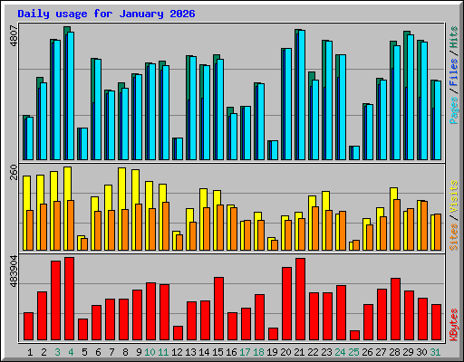 Daily usage for January 2026