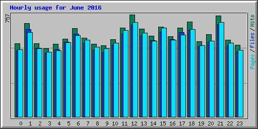 Hourly usage for June 2016