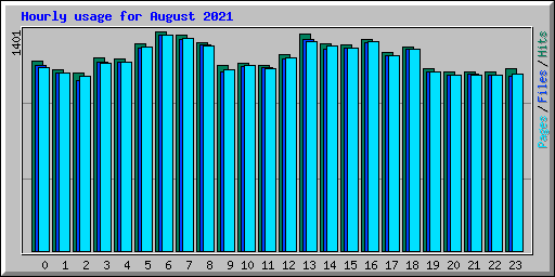Hourly usage for August 2021