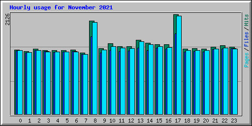 Hourly usage for November 2021