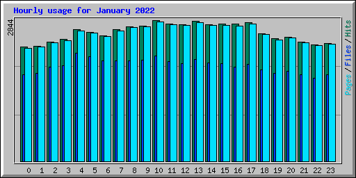 Hourly usage for January 2022