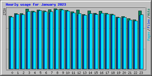 Hourly usage for January 2023