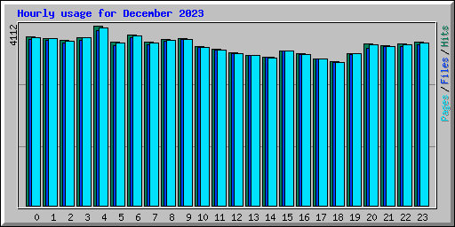 Hourly usage for December 2023