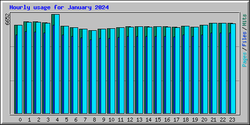 Hourly usage for January 2024