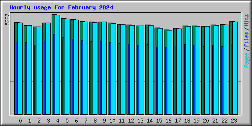 Hourly usage for February 2024