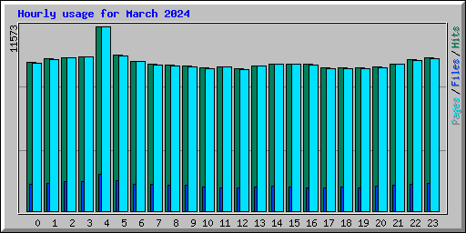 Hourly usage for March 2024