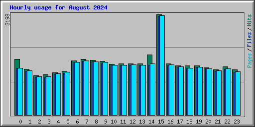 Hourly usage for August 2024