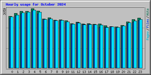 Hourly usage for October 2024