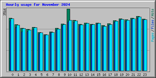 Hourly usage for November 2024