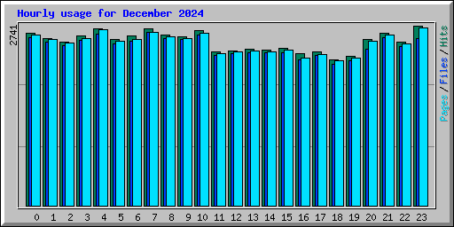 Hourly usage for December 2024