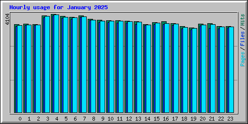 Hourly usage for January 2025