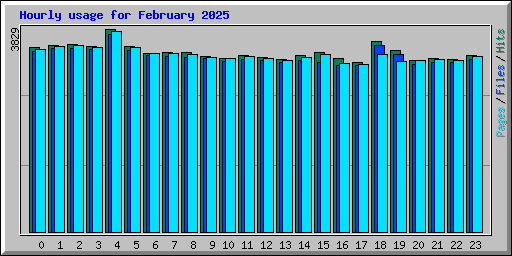 Hourly usage for February 2025