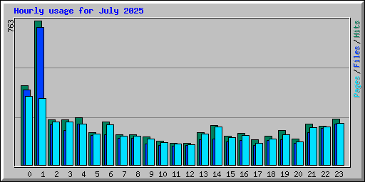Hourly usage for July 2025