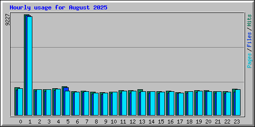 Hourly usage for August 2025